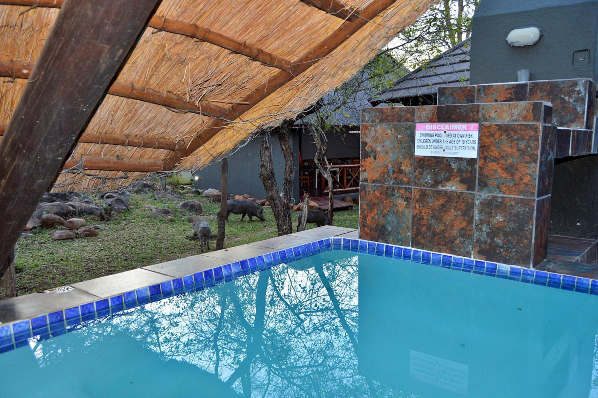 Royal Marlothi Kruger Safari Lodge And Spa Marloth Park Buitenkant foto