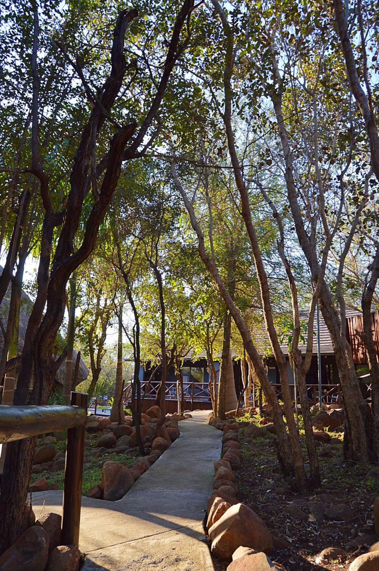 Royal Marlothi Kruger Safari Lodge And Spa Marloth Park Buitenkant foto