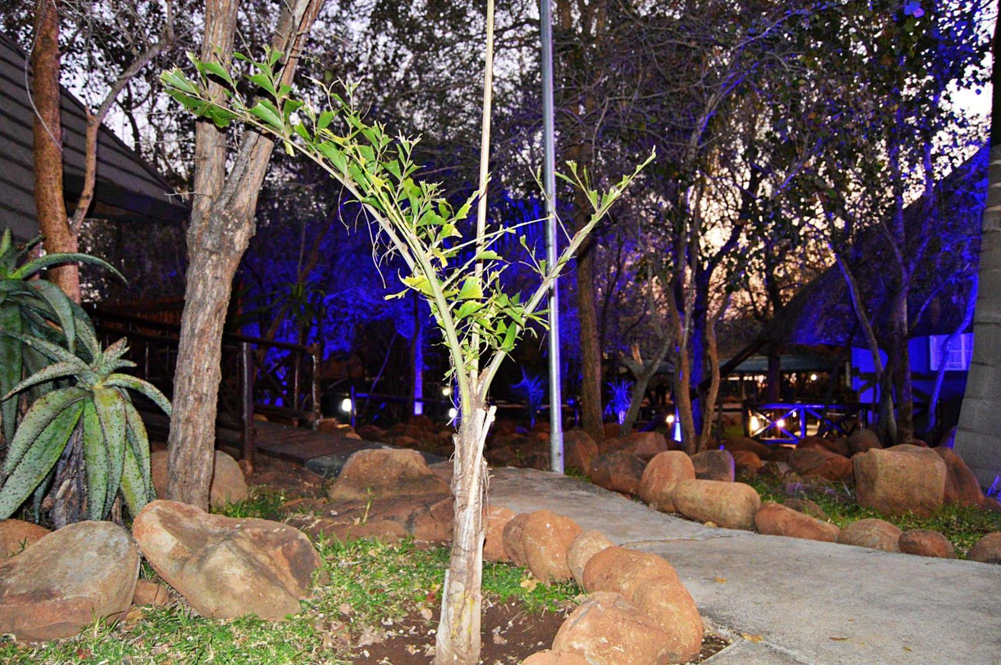 Royal Marlothi Kruger Safari Lodge And Spa Marloth Park Buitenkant foto